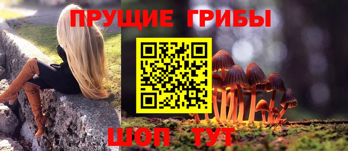 Галлюциногенные грибы Cubensis Протвино